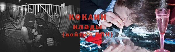 соль ск Кемь