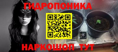 PSILOCYBIN Абинск