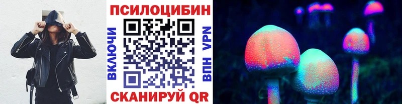площадка состав  Петровск  Галлюциногенные грибы Psilocybe 
