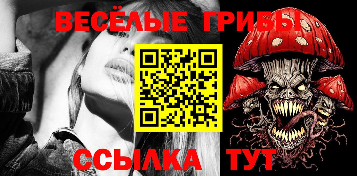 Петровск  Псилоцибиновые грибы Cubensis  Вход с VPN 