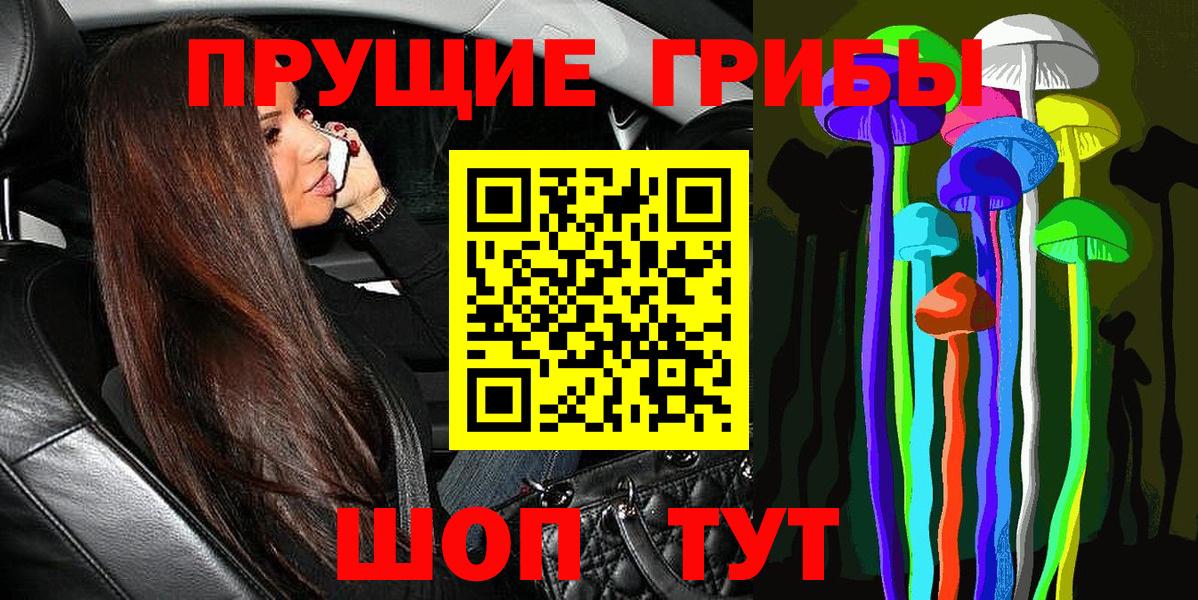 Галлюциногенные грибы мицелий  Петровск  купить закладку  Галлюциногенные грибы Cubensis 