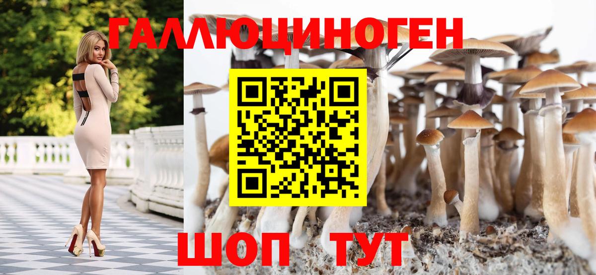Псилоцибиновые грибы мицелий Петровск