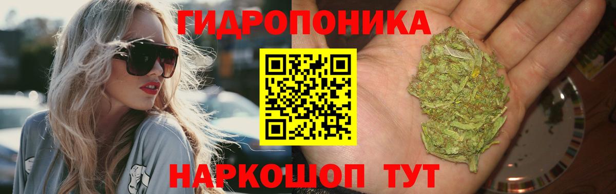 Бошки марихуана конопля  Канабис сатива  Марихуана марихуана  Вход с VPN  Петровск 